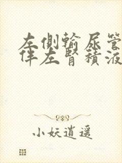 左侧输尿管结石伴左肾积液