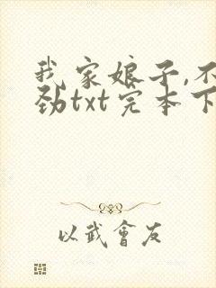我家娘子,不对劲txt完本下载