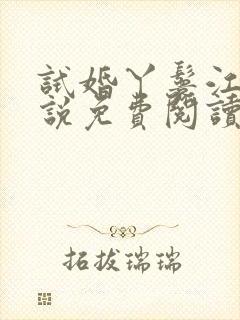 试婚丫鬟江书小说免费阅读全文