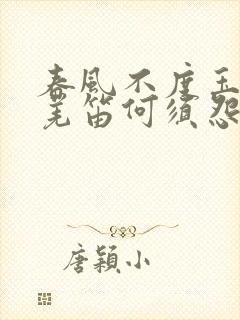 春风不度玉门关羌笛何须怨杨柳