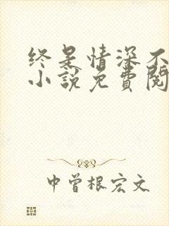 终是情深不相守小说免费阅读