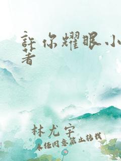 许你耀眼小说原著