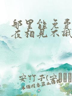 那里能免费看夜夜相见不识君短剧