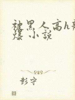 被黑人高h辣文爆 小说