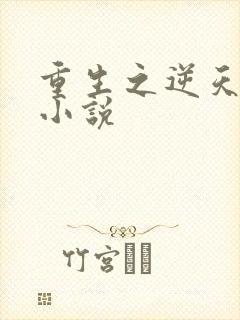 重生之逆天改命小说