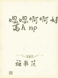 嗯嗯啊啊好爽啊 高h np