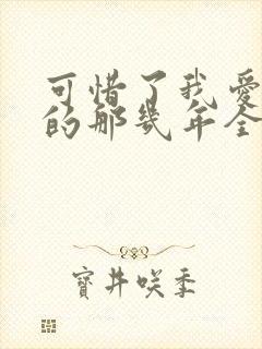 可惜了我爱着你的那几年全文在线阅读