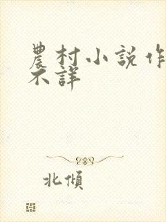 农村小说作者:不详