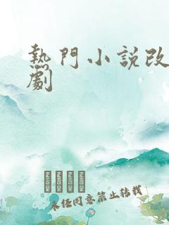 热门小说改编短剧