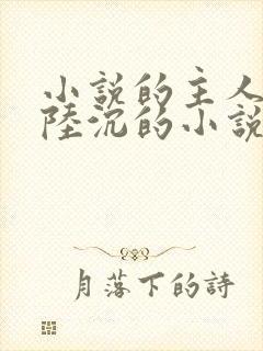 小说的主人公叫陆沉的小说