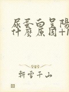 尿蛋白呈阳性是什么原因+1