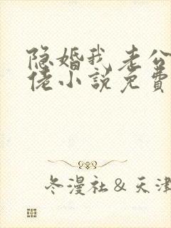 隐婚我老公是大佬小说免费阅读