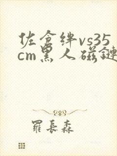 佐仓绊vs35cm黑人磁链