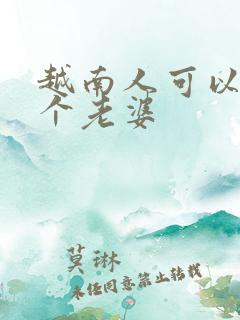 越南人可以娶几个老婆