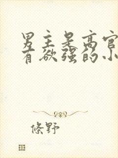 男主是高官且占有欲强的小说