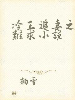 冷王追妻之医妃难求小说