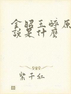 金昭玉醉原著小说是什么