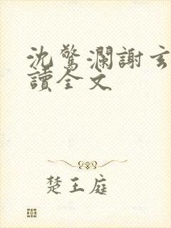 沈惊澜谢玄寂阅读全文