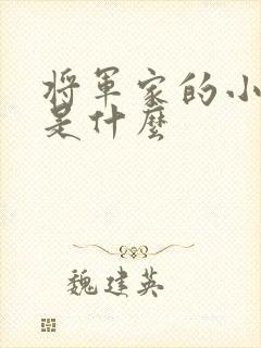 将军家的小娘子是什么