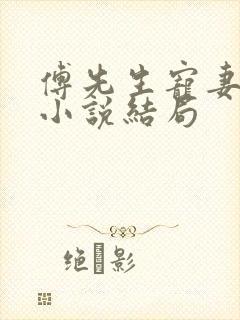 傅先生宠妻无度小说结局