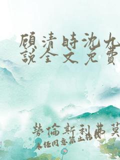 顾清时沈九笙小说全文免费阅读全文