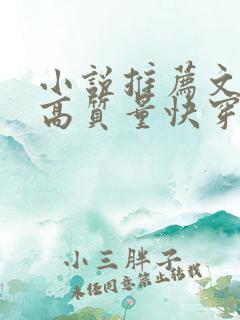 小说推荐文笔好高质量快穿文