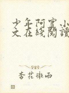 少年阿宾小说全文在线阅读