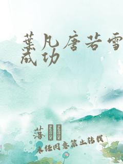 叶凡唐若雪一起成功