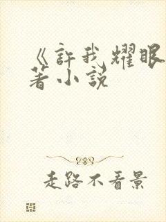 《许我耀眼》原著小说