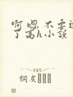 啊 嗯 不要进了高h小说
