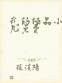 我的极品小姨叶凡免费