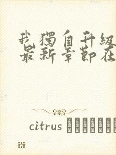 我独自升级小说最新章节在线阅读