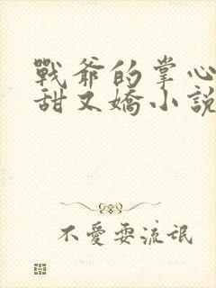 战爷的掌心宠又甜又娇小说在线阅读