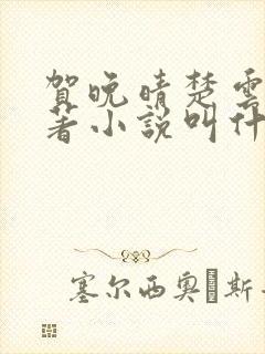 贺晚晴楚云深原著小说叫什么名字