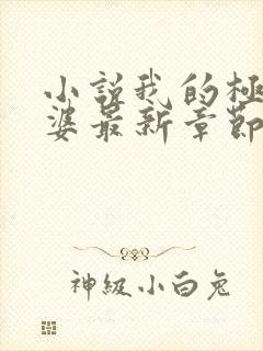 小说我的极品老婆最新章节