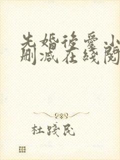 先婚后爱小说无删减在线阅读