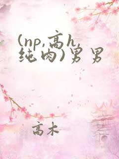 (np,高h,纯肉)男男