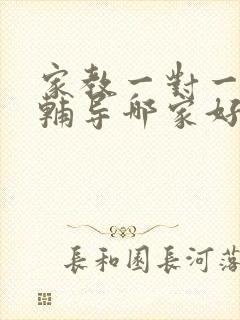 家教一对一上门辅导哪家好