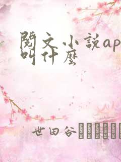 阅文小说app叫什么