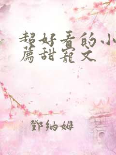 超好看的小说推荐甜宠文