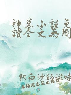神墓小说免费阅读全文无删减