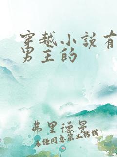 穿越小说有7个男主的