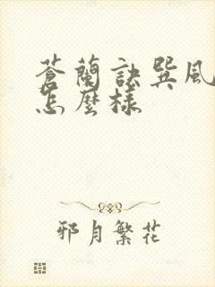 苍兰诀巽风结局怎么样