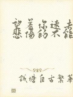 望着你远去我竟悲伤的不能自己是什么歌