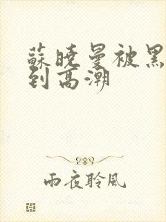 苏晓曼被黑人玩到高潮