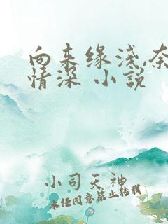 向来缘浅,奈何情深 小说