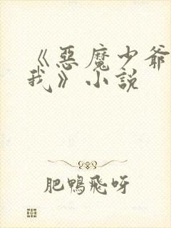 《恶魔少爷别惹我》小说