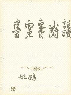 崔向东小说无弹窗免费阅读