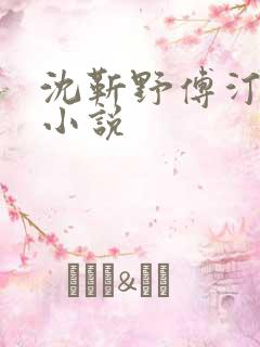 沈靳野傅汀羽的小说