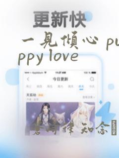 一见倾心 puppy love：结局+番外